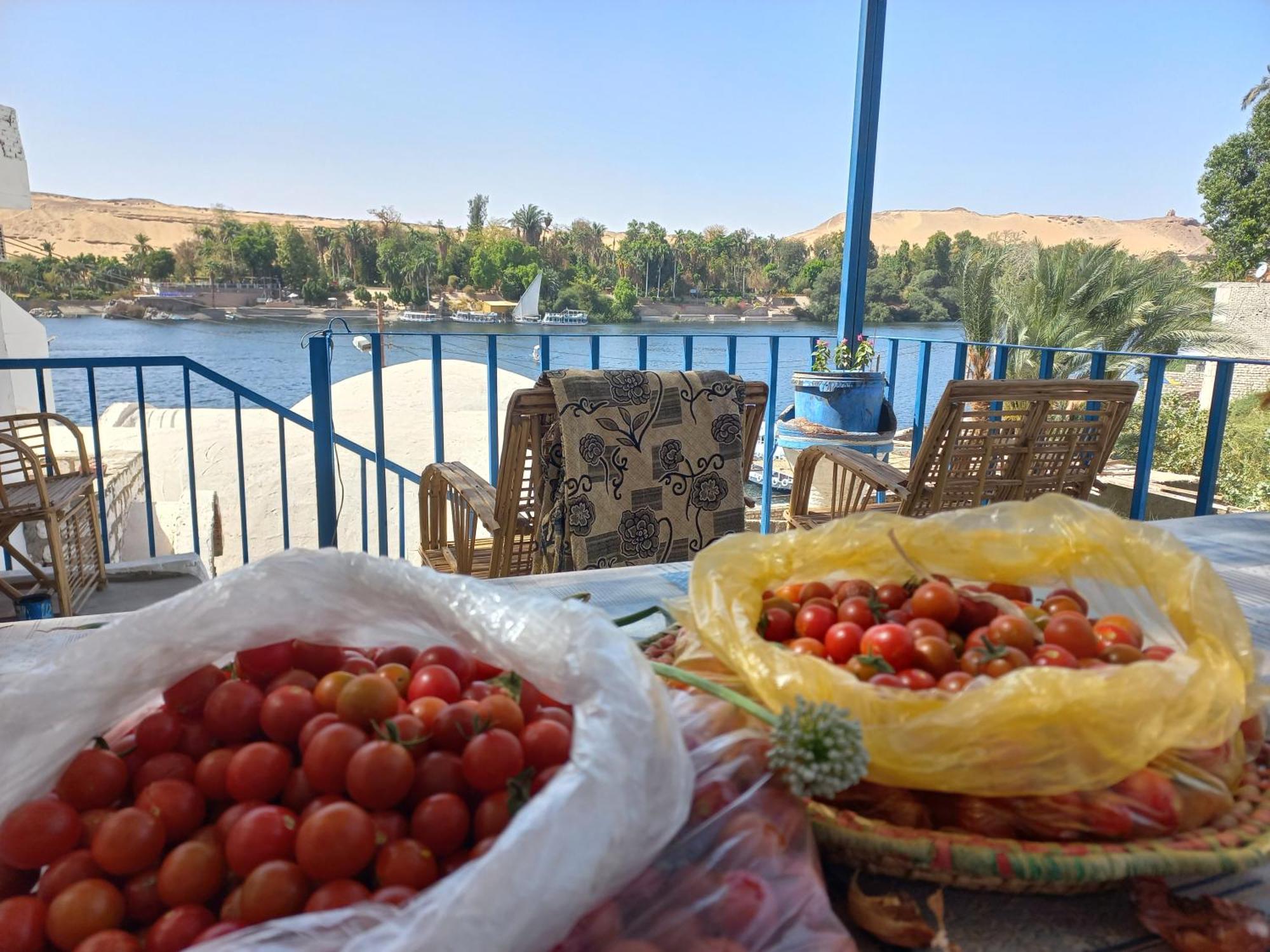 Bed and Breakfast Nubian Lotus Asuán Exterior foto